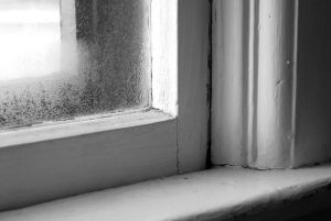 repairing windows
